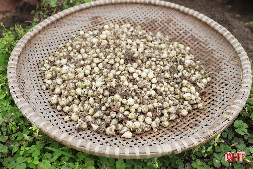 116 mô hình dân vận khéo ở Can Lộc hoạt động hiệu quả, bền vững