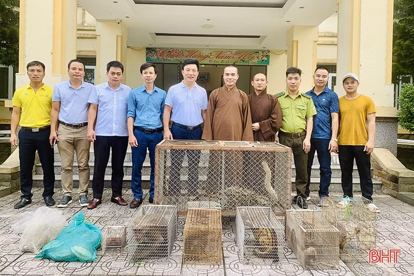 Bàn giao 14 cá thể động vật quý hiếm cho Vườn Quốc gia Vũ Quang