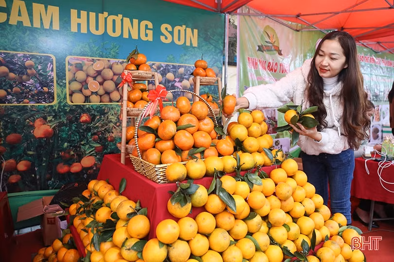 Lễ hội cam và các sản phẩm nông nghiệp Hà Tĩnh được tổ chức từ 24-26/11