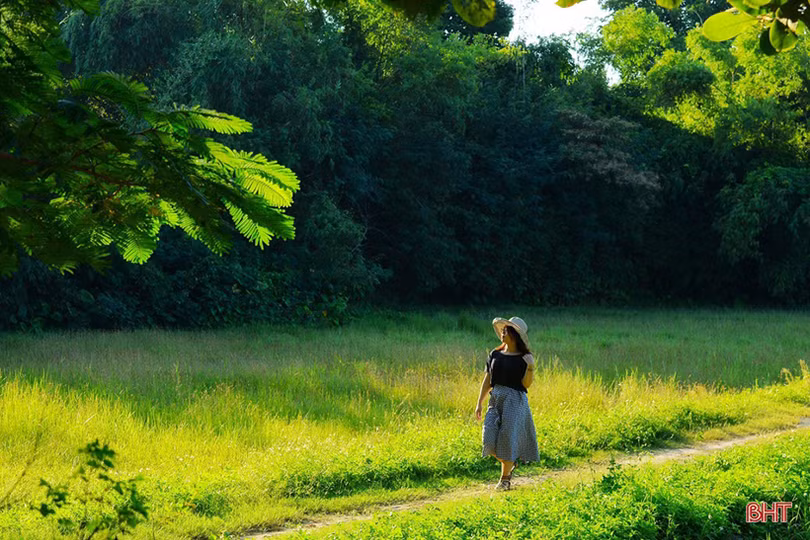 Thời tiết Hà Tĩnh hôm nay: ngày nắng, cao nhất 31 độ C