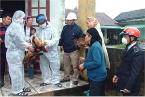 Tiêm vắc - xin là biện pháp hữu hiệu để phòng bệnh