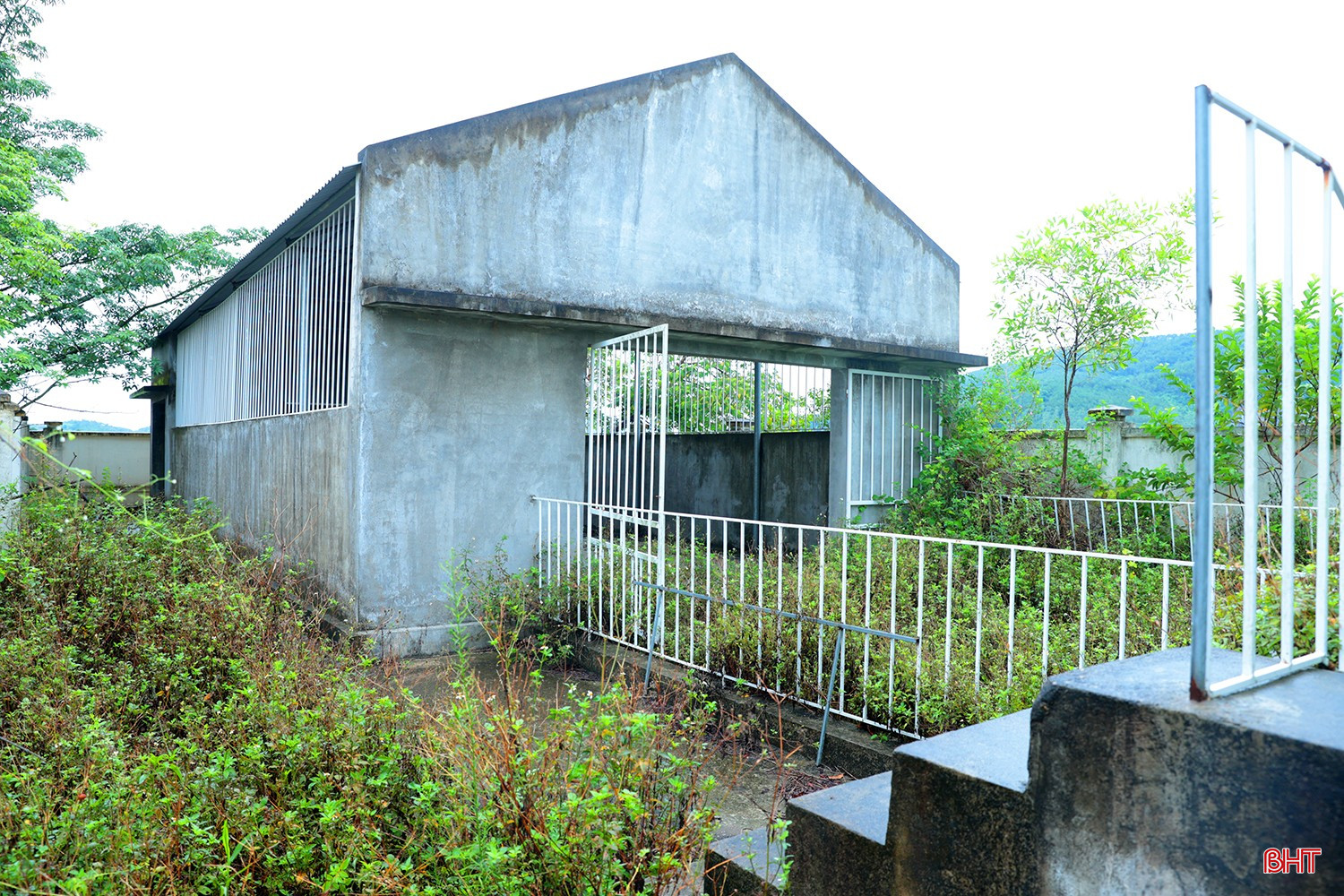 bqbht_br_tram-kiem-dich-dong-vat-ha-tinh-5.jpg