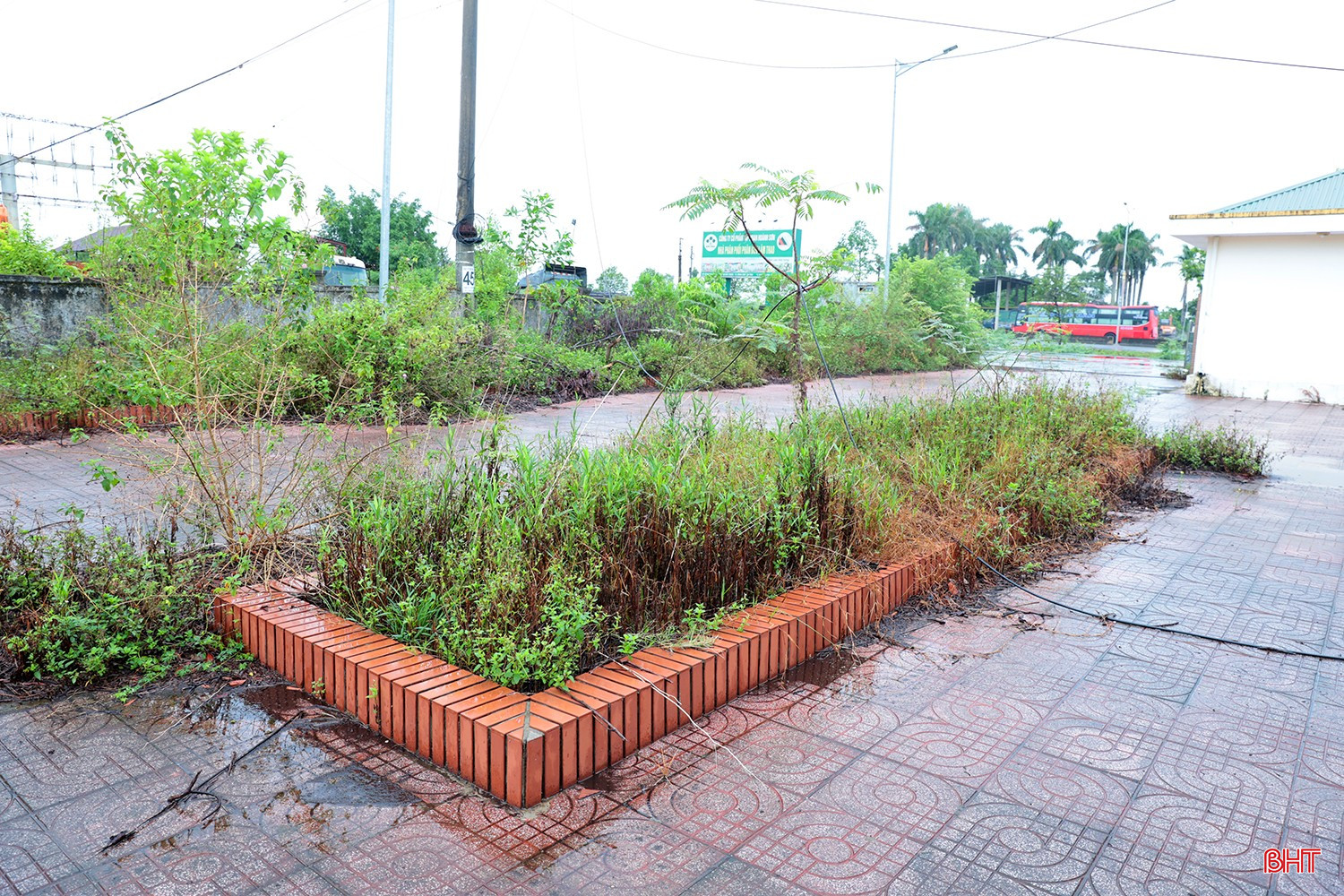 bqbht_br_tram-kiem-dich-dong-vat-ha-tinh-3b.jpg