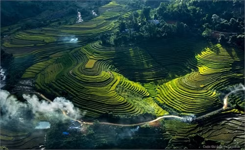 Hương lúa mới ngày mùa. Tác giả: Trần Trung Hậu. Những cung đường Tây Bắc uốn lượn bên cạnh đồi núi ruộng bậc thang tạo nên khung cảnh núi rừng hùng vĩ và ngút ngàn khiến du khách nào đặt chân đến cũng phải trầm trồ.