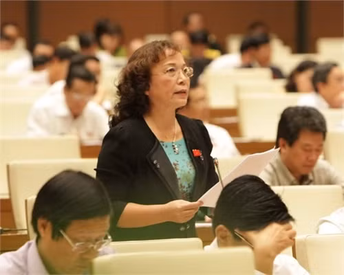 Đại biểu Quốc hội tỉnh Bình Định Nguyễn Thanh Thụy phát biểu ý kiến. (Ảnh: Phương Hoa/TTXVN)
