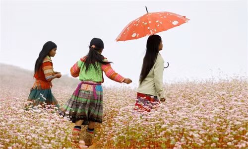 Giữa những cánh trắng hồng nhỏ xinh, vẻ hồn nhiên của các em nhỏ như thể nét nhấn nhá cho bức tranh của núi đồi.