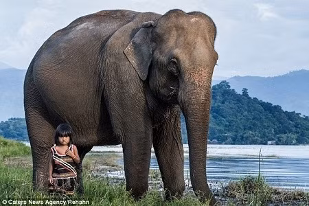 Đôi bạn luôn tỏ ra hoàn toàn thoải mái khi ở cạnh nhau.