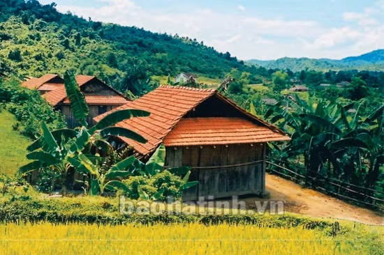 Từ "bộ tộc lá vàng'' đến thế giới văn minh ảnh 5