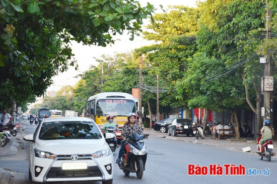 Không gian xanh "giải nhiệt" cho thành phố trẻ ảnh 1