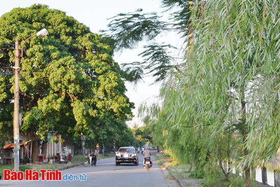 Đường Nguyễn Phan Chánh (phường Tân Giang) rợp bóng cây xanhcùng rặng liễu bốn mùa rũ bóng bên dòng sông Cụt thơ mộng.