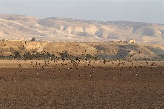 Tirat Zvi (Israel): 54 độ C (năm 1942). Đây là nhiệt độ cao nhất từng được ghi nhận ở châu Á.