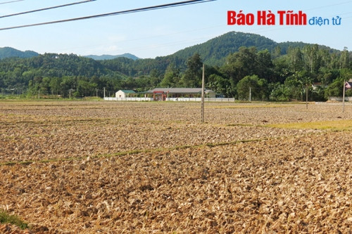 Hương Sơn gồng mình với nắng hạn ảnh 1