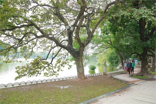 Ảnh minh họa: Internet