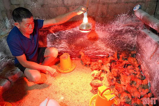 Chính sách giảm nghèo - động lực phát triển bền vững ở Việt Xuyên