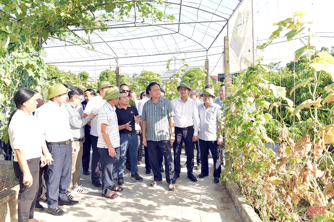 Đoàn công tác tỉnh Savannakhet tham quan nông thôn mới Hà Tĩnh