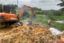 Tiêu hủy 74 con lợn do mắc dịch tả lợn châu Phi