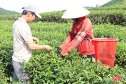 Chung tay trong "cuộc chiến" giảm nghèo bền vững ở xã vùng biên