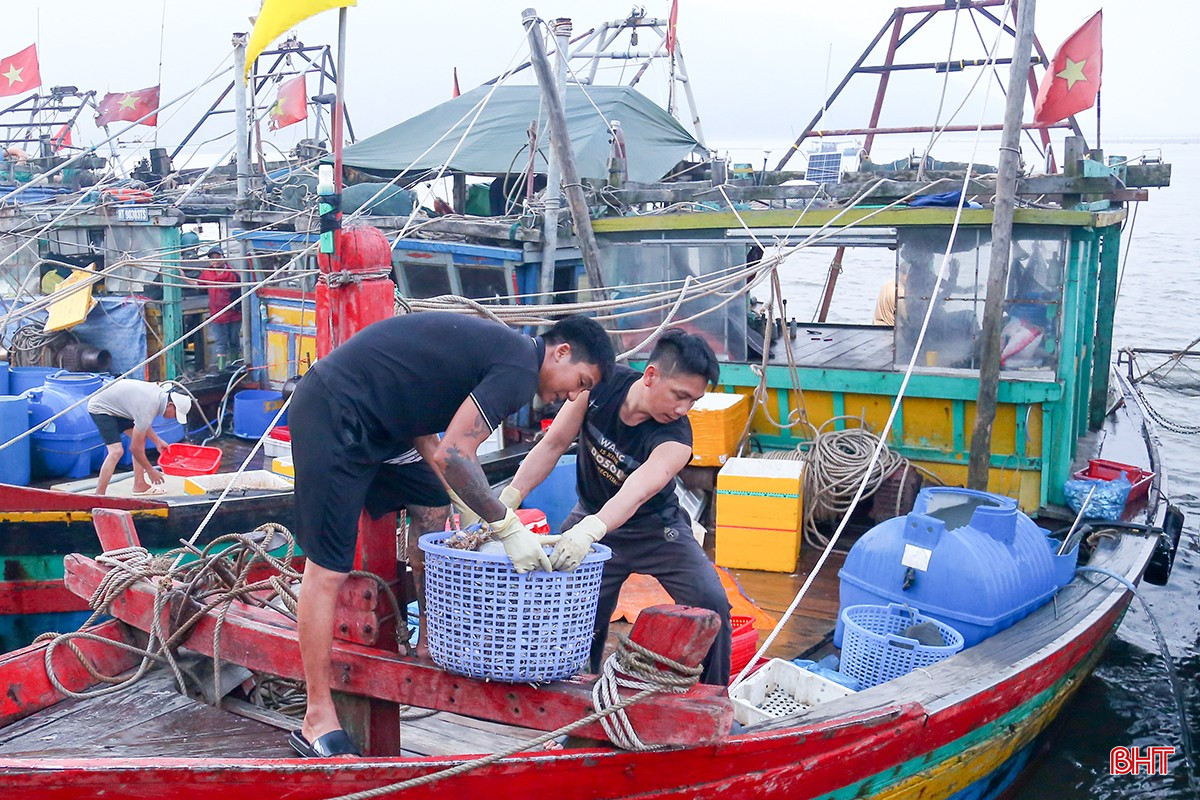 Fishermen consider investing in fishing gear and confidently going to sea as a companion to the Congress Resolution. bqbht_br_img-1366.jpg