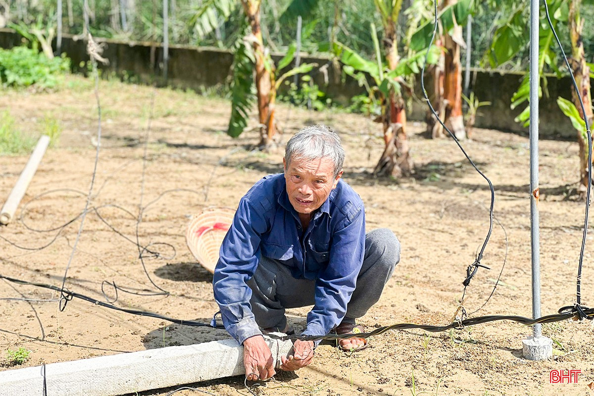 Mr. Tran Quang Vinh - a farmer in Quyet Tien residential group, Tran Phu ward, cleaned up the collapsed greenhouse system after the storm, preparing to resume production so as not to disrupt the crop season. bqbht_br_vinh.jpg