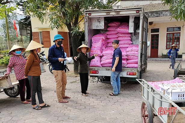 Xã bãi ngang Hà Tĩnh hỗ trợ 2.875 con gà giống giúp giảm nghèo bền vững