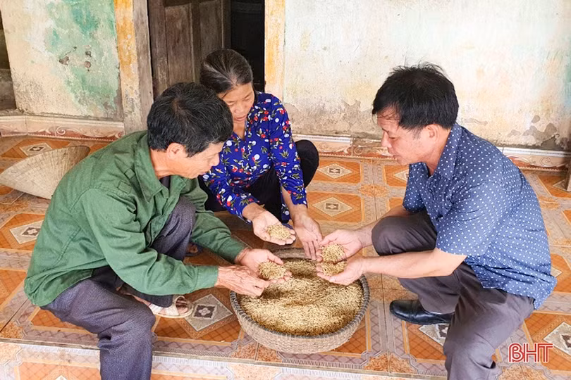 Làm vườn mẫu phải có sản phẩm mới và thu nhập bền vững”
