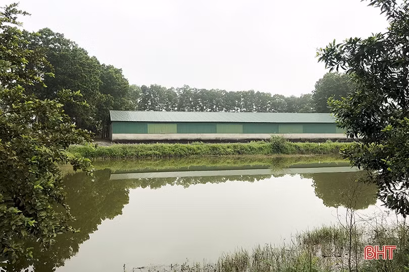 Thống nhất phương án bồi thường trang trại bị ảnh hưởng GPMB cao tốc Bắc - Nam qua Hà Tĩnh vào 27/3 tới