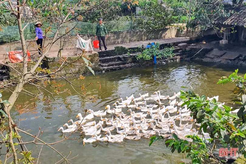 Làm vườn mẫu phải có sản phẩm mới và thu nhập bền vững”