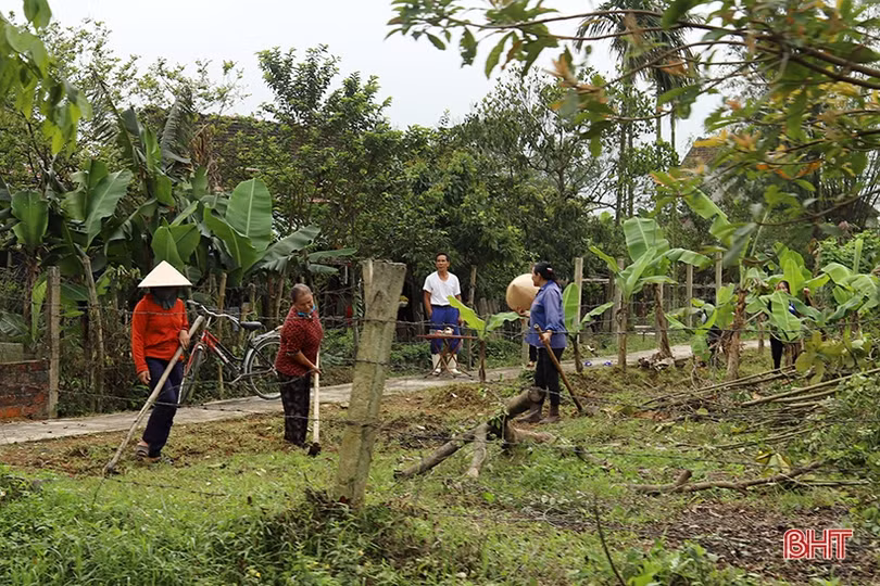 Vùng lũ ở Cẩm Xuyên cần giữ lại lũy tre xanh khi cải tạo vườn tạp
