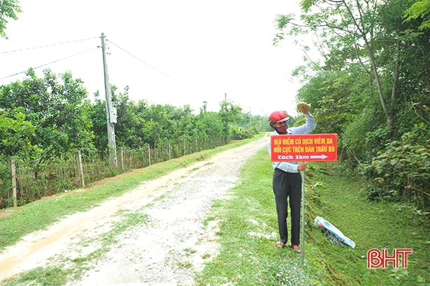 13 xã xuất hiện viêm da nổi cục trên trâu bò, huyện miền núi Hà Tĩnh rốt ráo phòng trừ