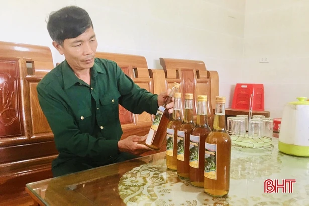 Nông dân Vũ Quang ước thu hơn 12 tỷ đồng từ mật ong