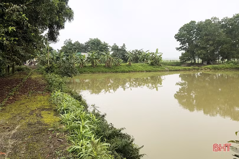 Thống nhất phương án bồi thường trang trại bị ảnh hưởng GPMB cao tốc Bắc - Nam qua Hà Tĩnh vào 27/3 tới