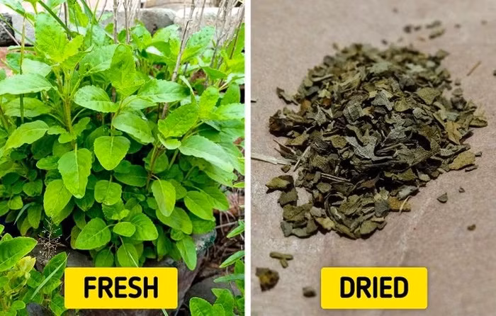 8 món ăn không chỉ thơm ngon mà còn hỗ trợ cải thiện giấc ngủ