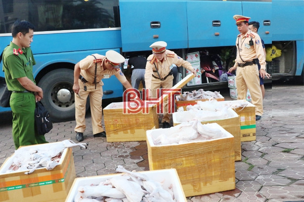900kg thịt mèo “leo” xe khách từ Nam ra Bắc, bị bắt ở Hà Tĩnh