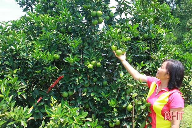 Can Lộc biểu dương điển hình phụ nữ xây dựng nhà sạch, vườn đẹp