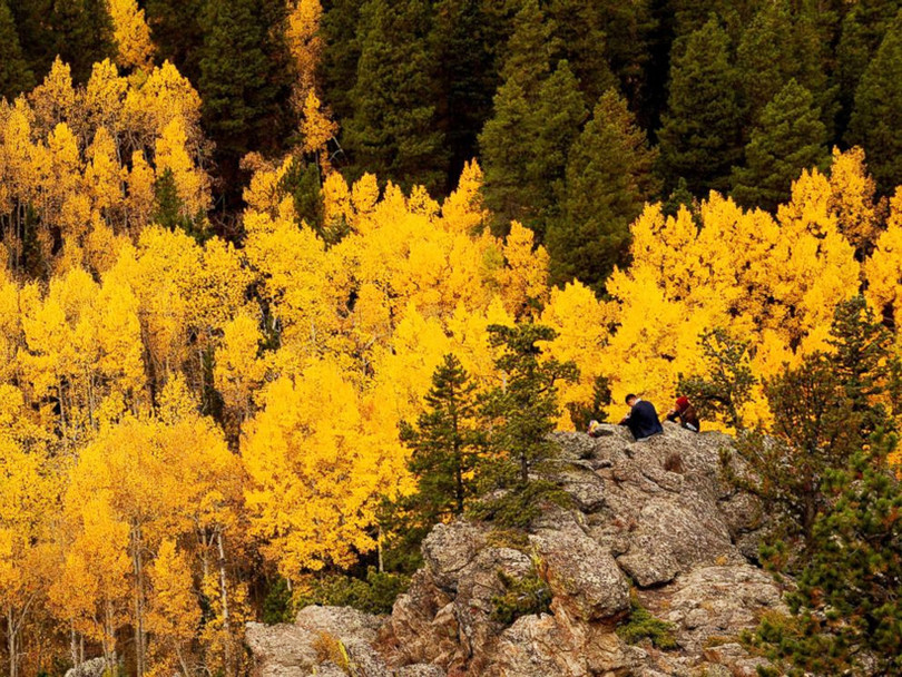 Ngẩn ngơ ngắm nước Mỹ rực rỡ khi thu về ảnh 16 Ngẩn ngơ ngắm nước Mỹ rực rỡ khi thu về