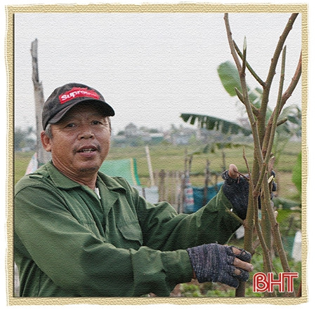 Một thoáng ngoại ô