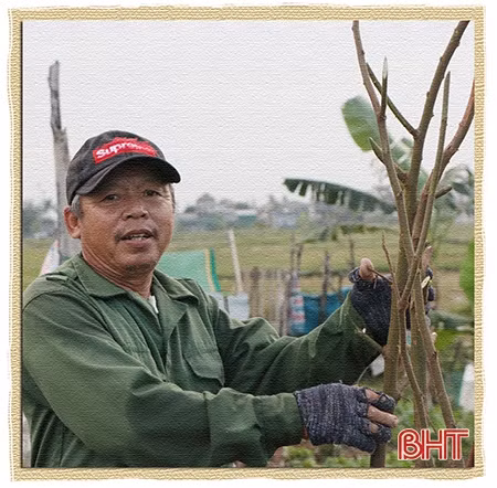 Một thoáng ngoại ô