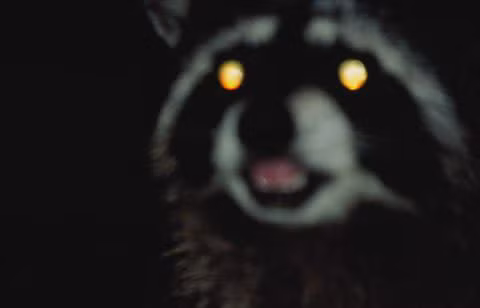 10 điều tài xế không được quên khi lái xe ban đêm