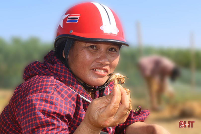 Người dân Xuân Hồng chong đèn, lội ruộng “săn” đặc sản trong đêm
