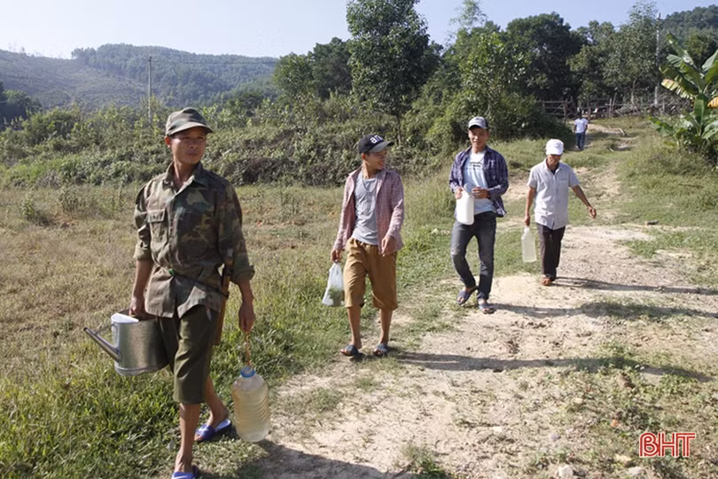 Mùa câu dế cơm ở miền núi Hà Tĩnh