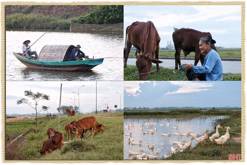 Một thoáng ngoại ô