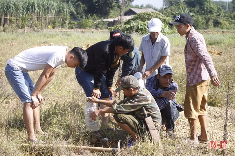 Mùa câu dế cơm ở miền núi Hà Tĩnh