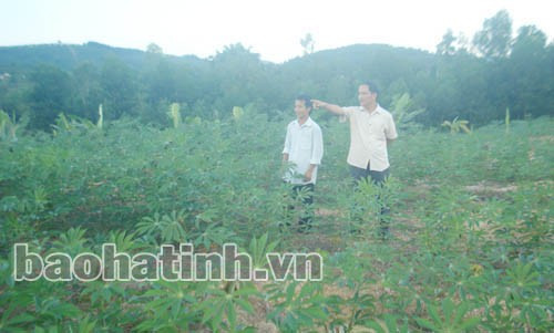 Người dân tái định cư tích cực trồng các loại cây ngắn ngày.