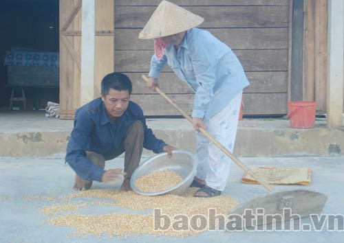 Gia đình chị Nguyễn Thị Văn phơi sấy, cất trữ nông sản.