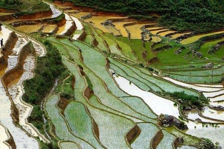 "Vùng núi phía Bắc Việt Nam là điểm đến ý nghĩa trên thế giới" ảnh 1