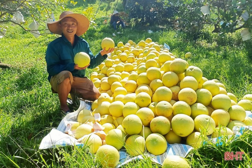 Nhiều mô hình của nông dân mang lại hiệu quả kinh tế cao. nong-dan-2.jpg