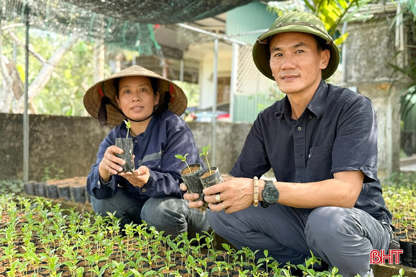 Anh Nguyễn Xuân Linh chăm sóc vườn ươm cây dó bầu. bqbht_br_anh-linh.jpg