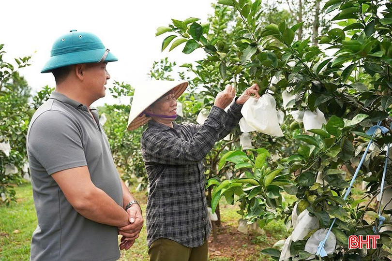 Với phương thức "cầm tay, chỉ việc", nhiều hội viên nông dân đã nắm bắt quy trình kỹ thuật, áp dụng vào sản xuất hiệu quả. bqbht_br_z7057731051997-06320009c243f33da0116ee826741a2f.jpg