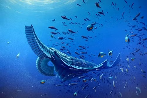 Tamisiocaris với các bộ phận phụ với các đốt, có thể co lại như một ngón tay để bắt mồi