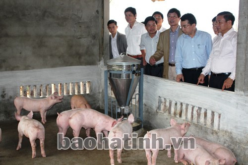 Phó Chủ tịch UBND tỉnh Lê Đình Sơn kiểm tra mô hình chăn nuôi lợn liên kết của hộ gia đình ông Lê Hồng Việt (Hương Minh - Vũ Quang)